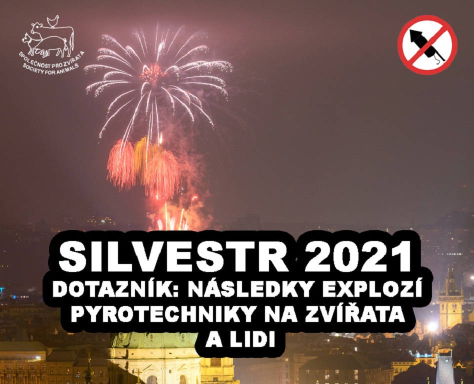 SILVESTR 2021