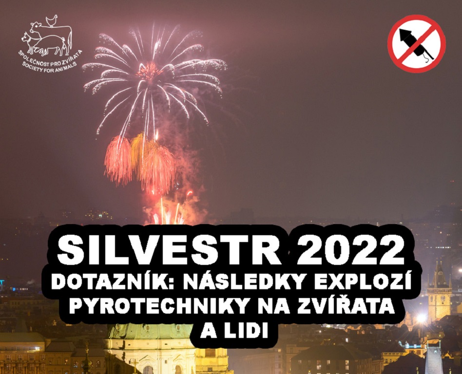 SILVESTR 2022