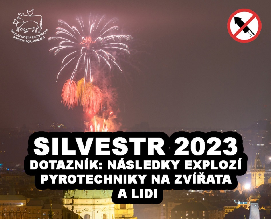 SILVESTR 2023