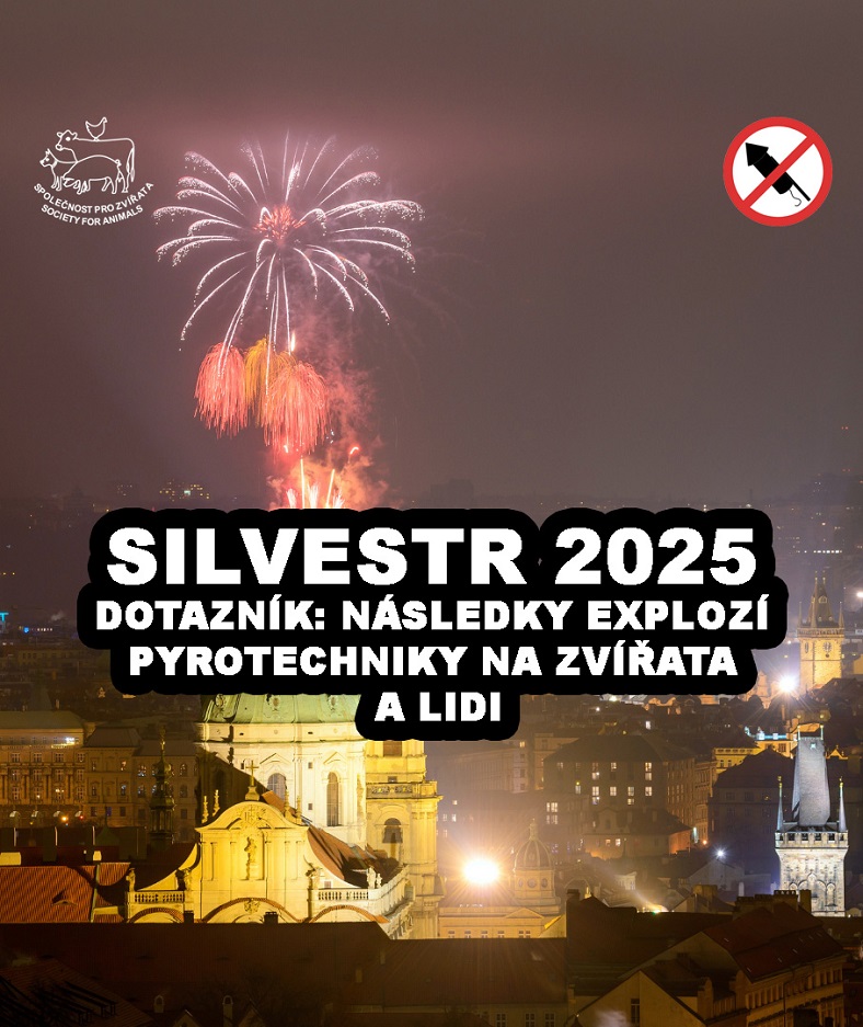 SILVESTR 2025